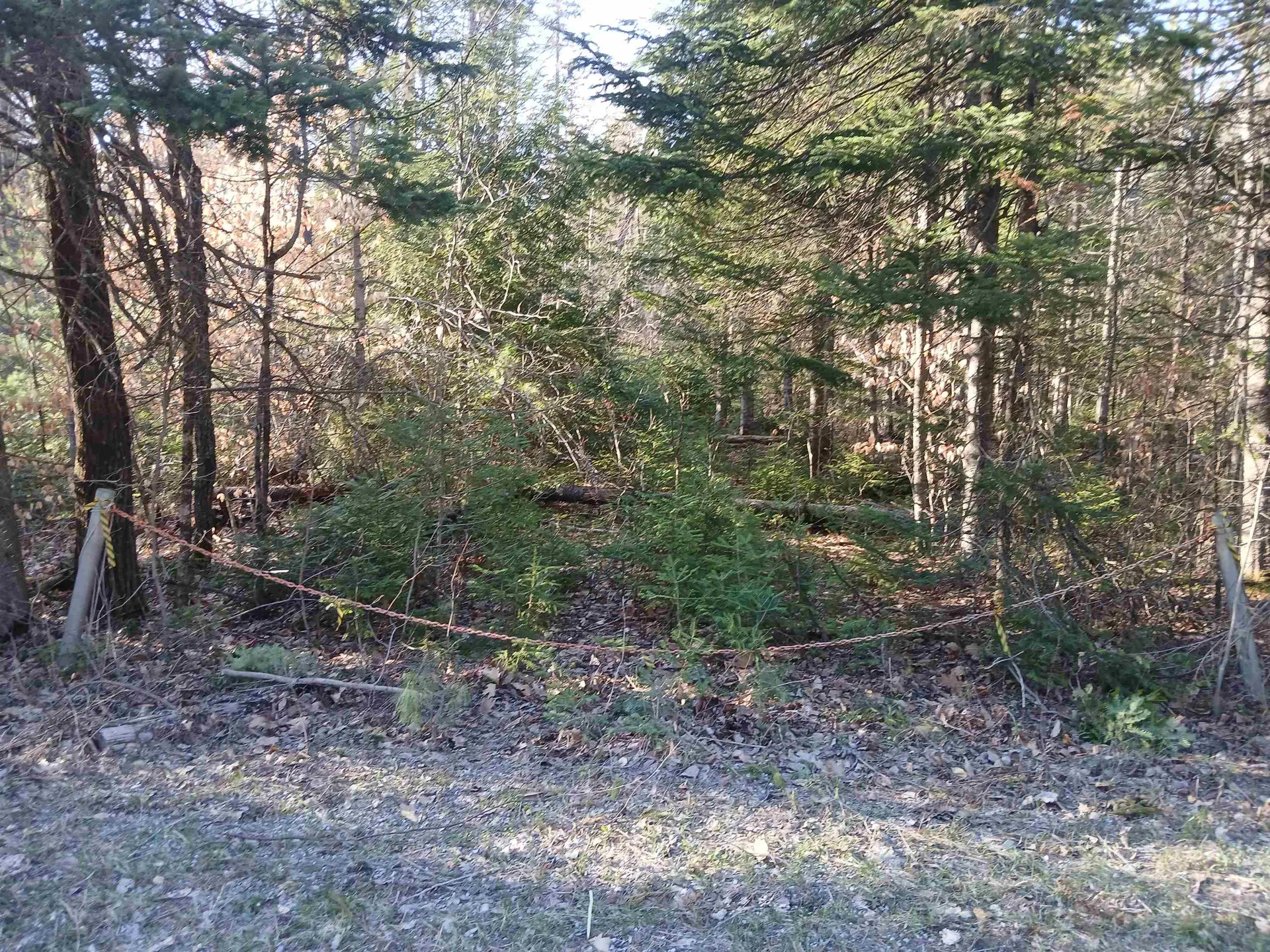 LOT#47-3 Grafton Pond Road Enfield NH 03748