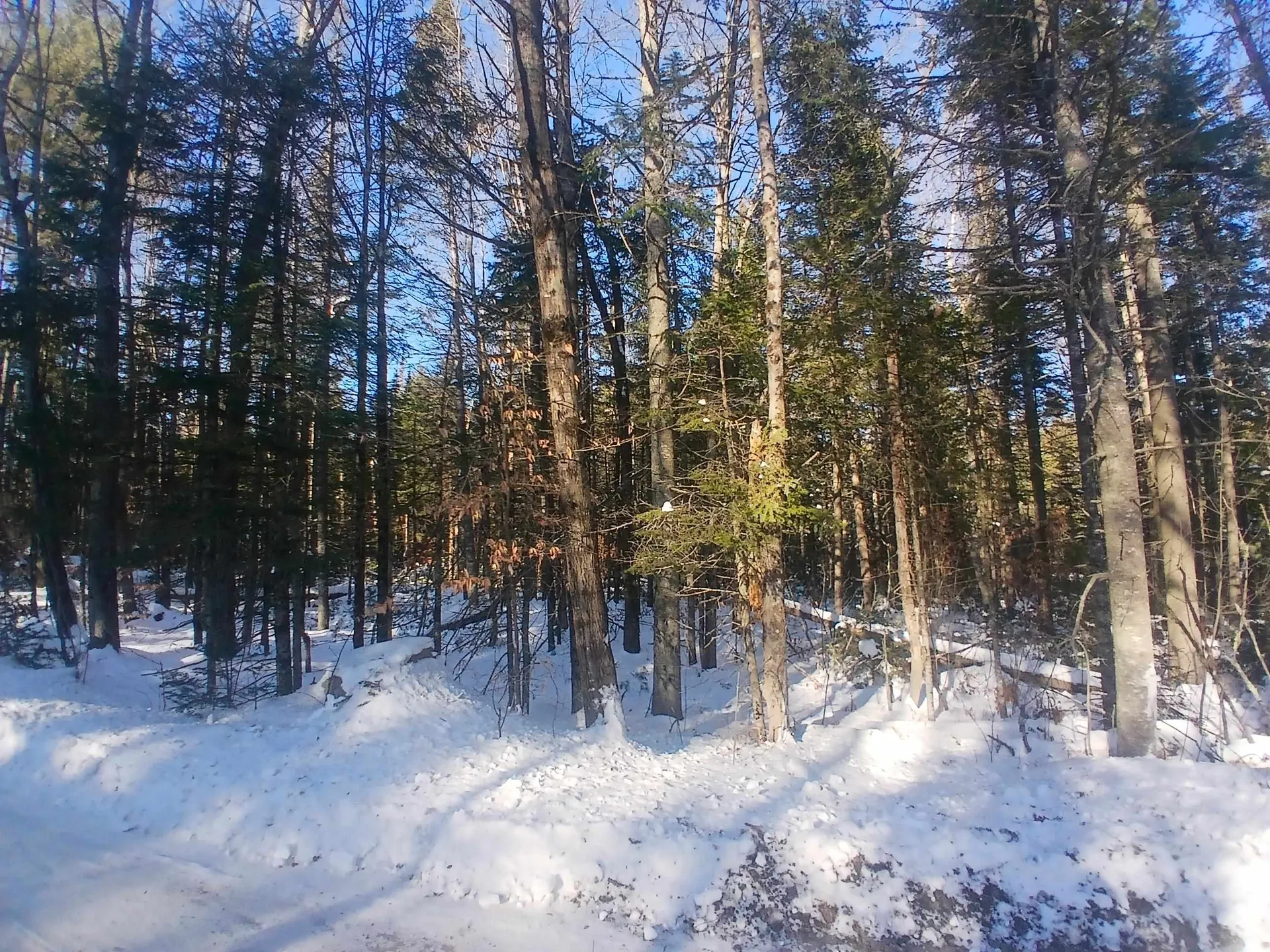 LOT#47-3 Grafton Pond Road Enfield NH 03748