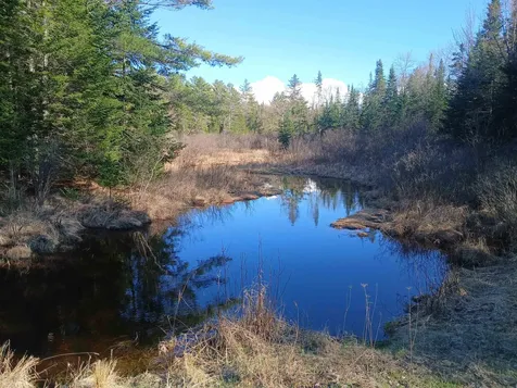 LOT#47-3 Grafton Pond Road Enfield NH 03748