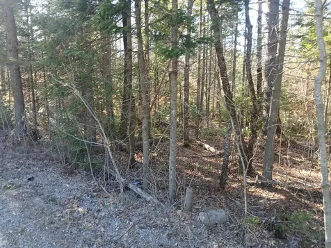 LOT#47-3 Grafton Pond Road Enfield NH 03748
