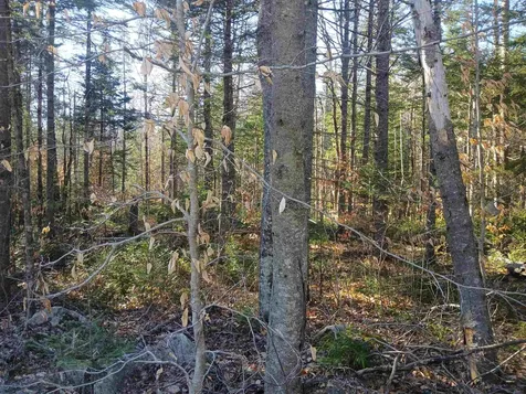 LOT#47-3 Grafton Pond Road Enfield NH 03748