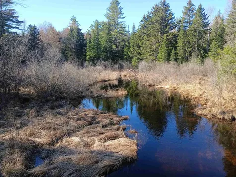 LOT#47-3 Grafton Pond Road Enfield NH 03748