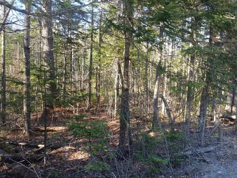 LOT#47-3 Grafton Pond Road Enfield NH 03748