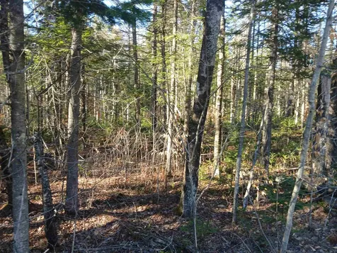 LOT#47-3 Grafton Pond Road Enfield NH 03748