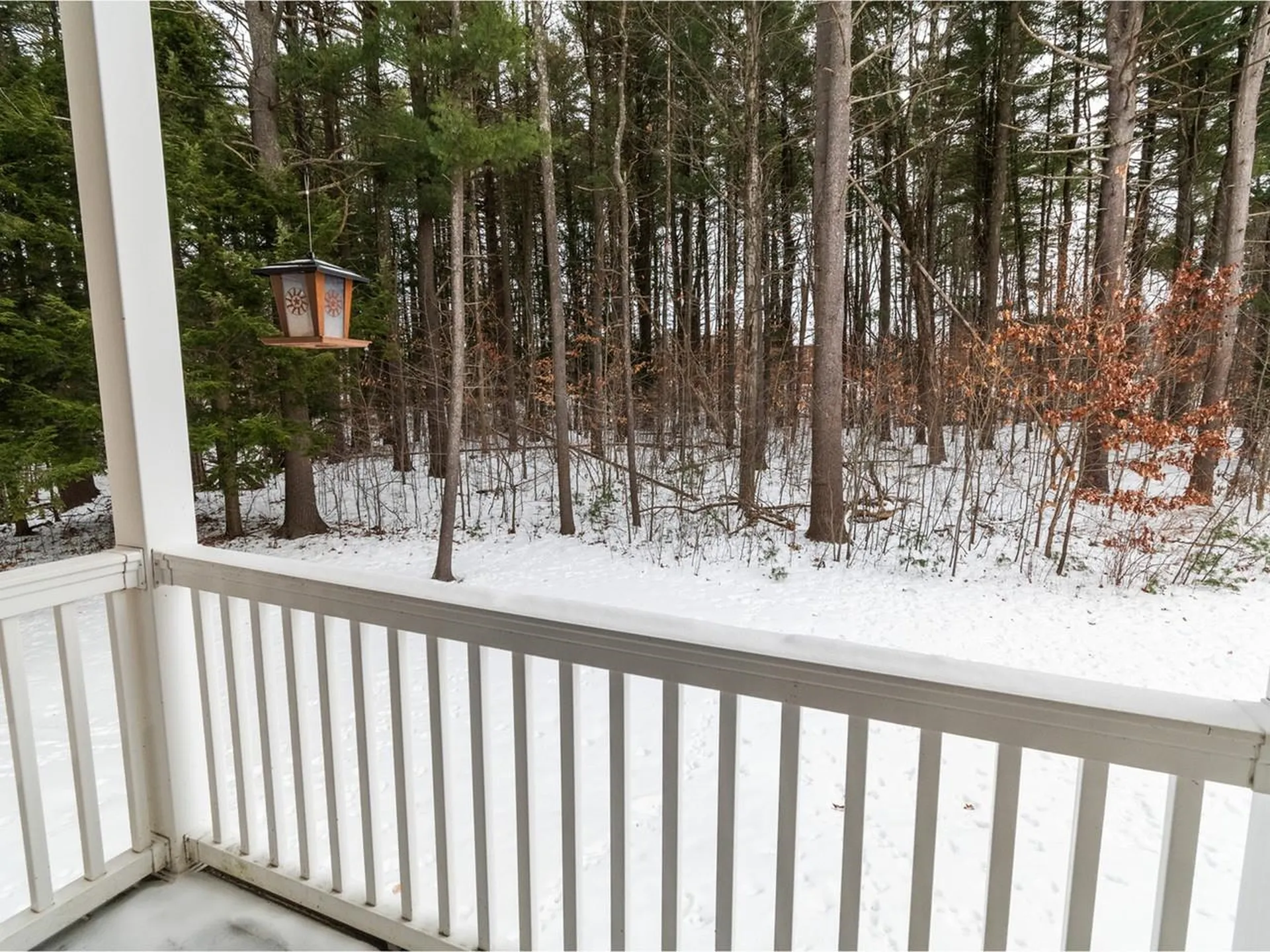 99 Eldredge Street South Burlington VT 05403