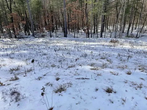 25 Newbury Road Pelham NH 03076