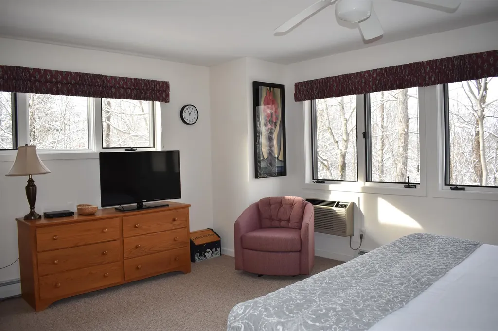 9 Trailside Executive 9 Cambridge VT 05464