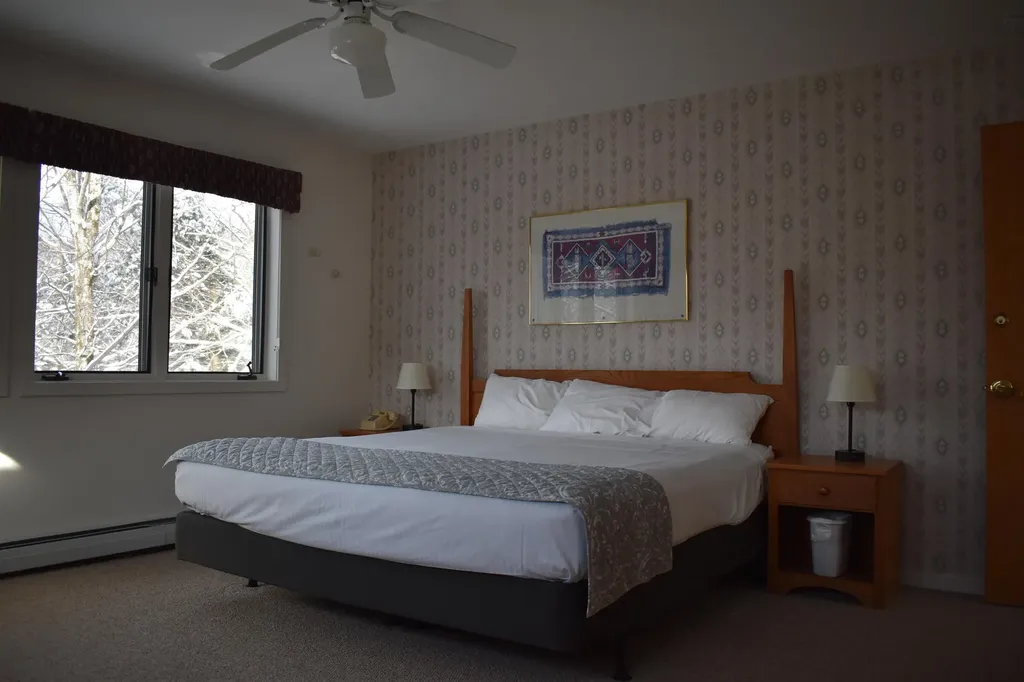 9 Trailside Executive 9 Cambridge VT 05464