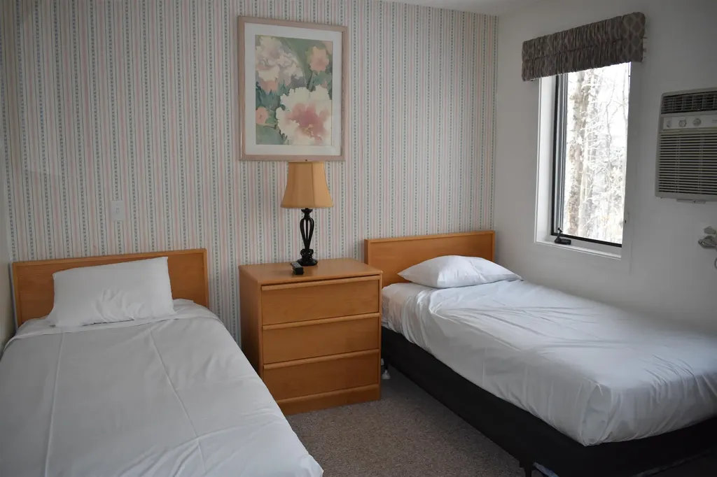 9 Trailside Executive 9 Cambridge VT 05464