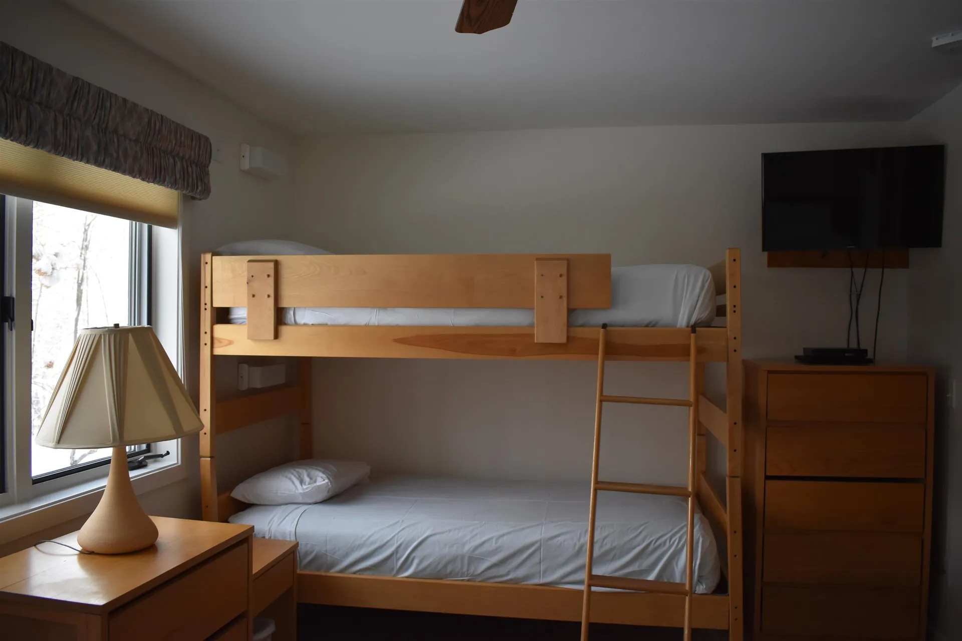 9 Trailside Executive 9 Cambridge VT 05464