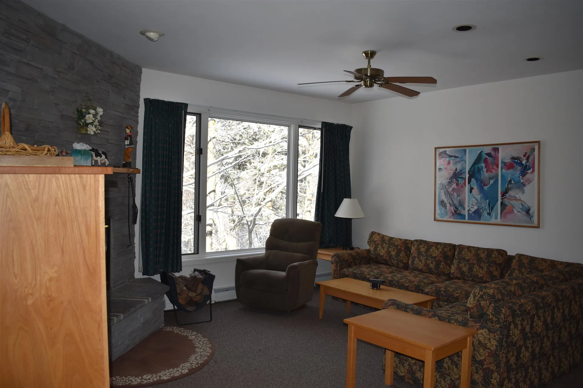 9 Trailside Executive 9 Cambridge VT 05464