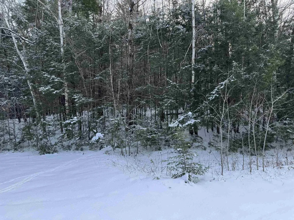 Lot 1 Welch View Drive Thornton NH 03285
