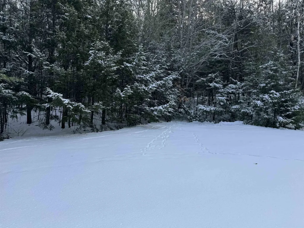 Lot 1 Welch View Drive Thornton NH 03285