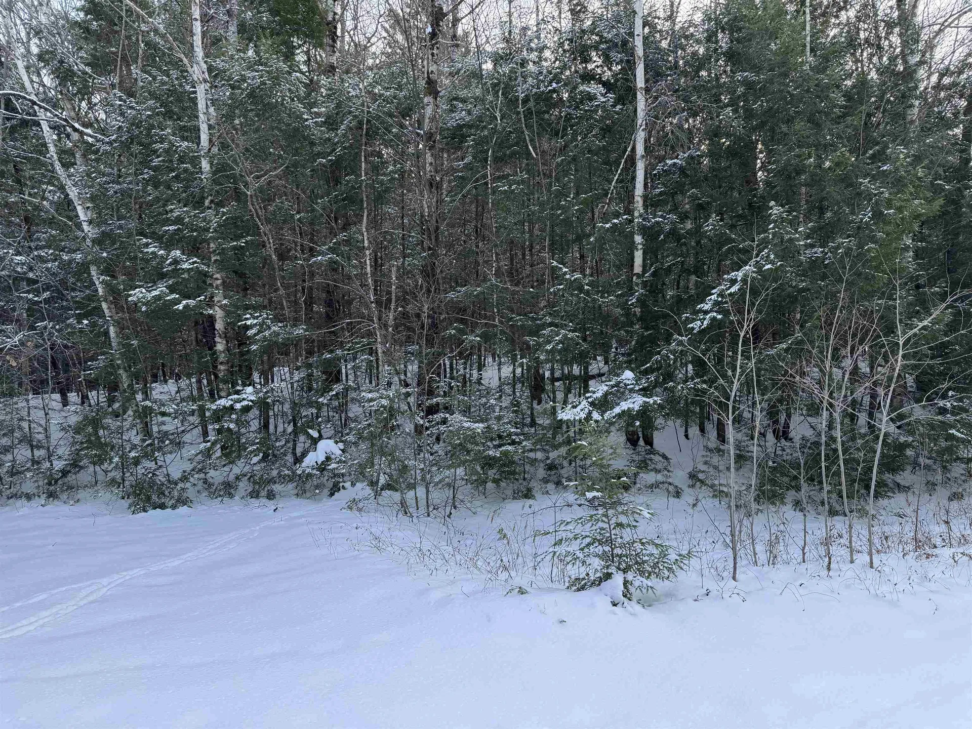 Lot 1 Welch View Drive Thornton NH 03285