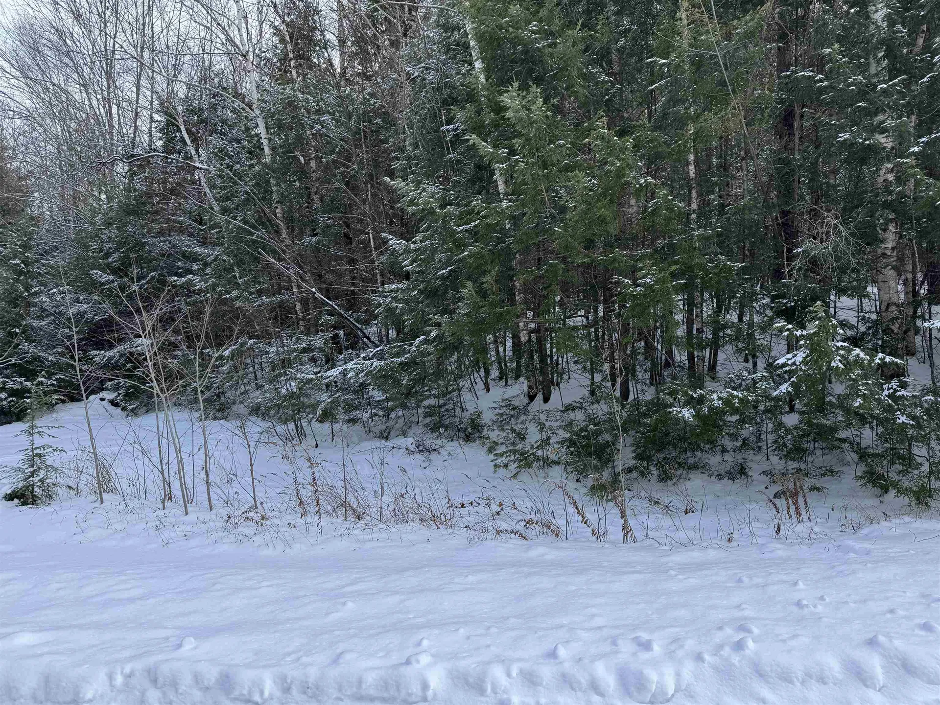 Lot 1 Welch View Drive Thornton NH 03285