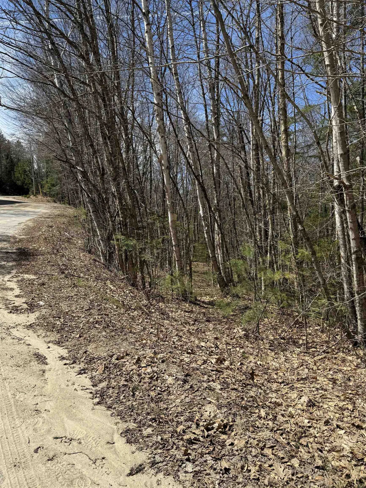 Lot 1 Welch View Drive Thornton NH 03285