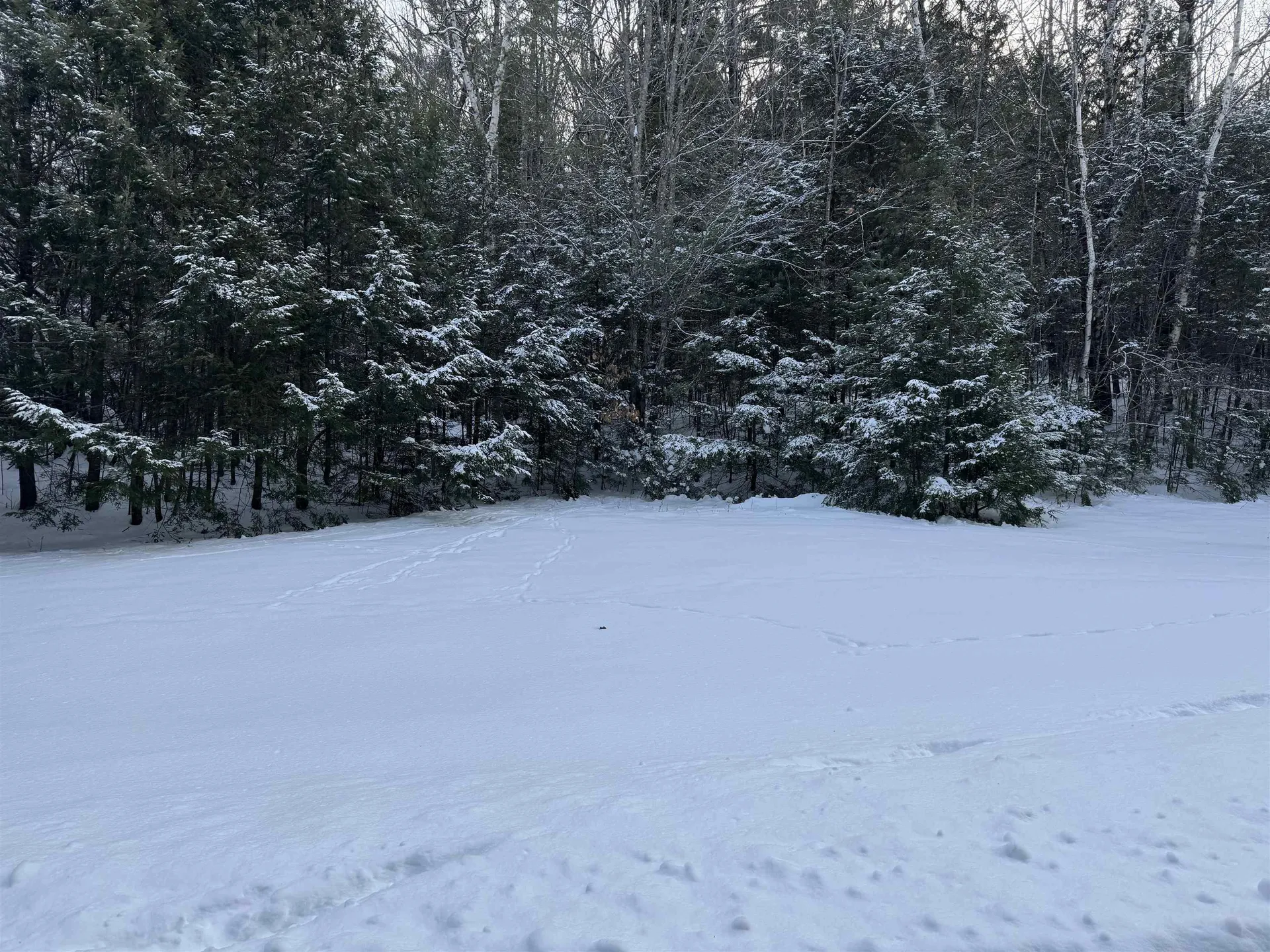 Lot 1 Welch View Drive Thornton NH 03285