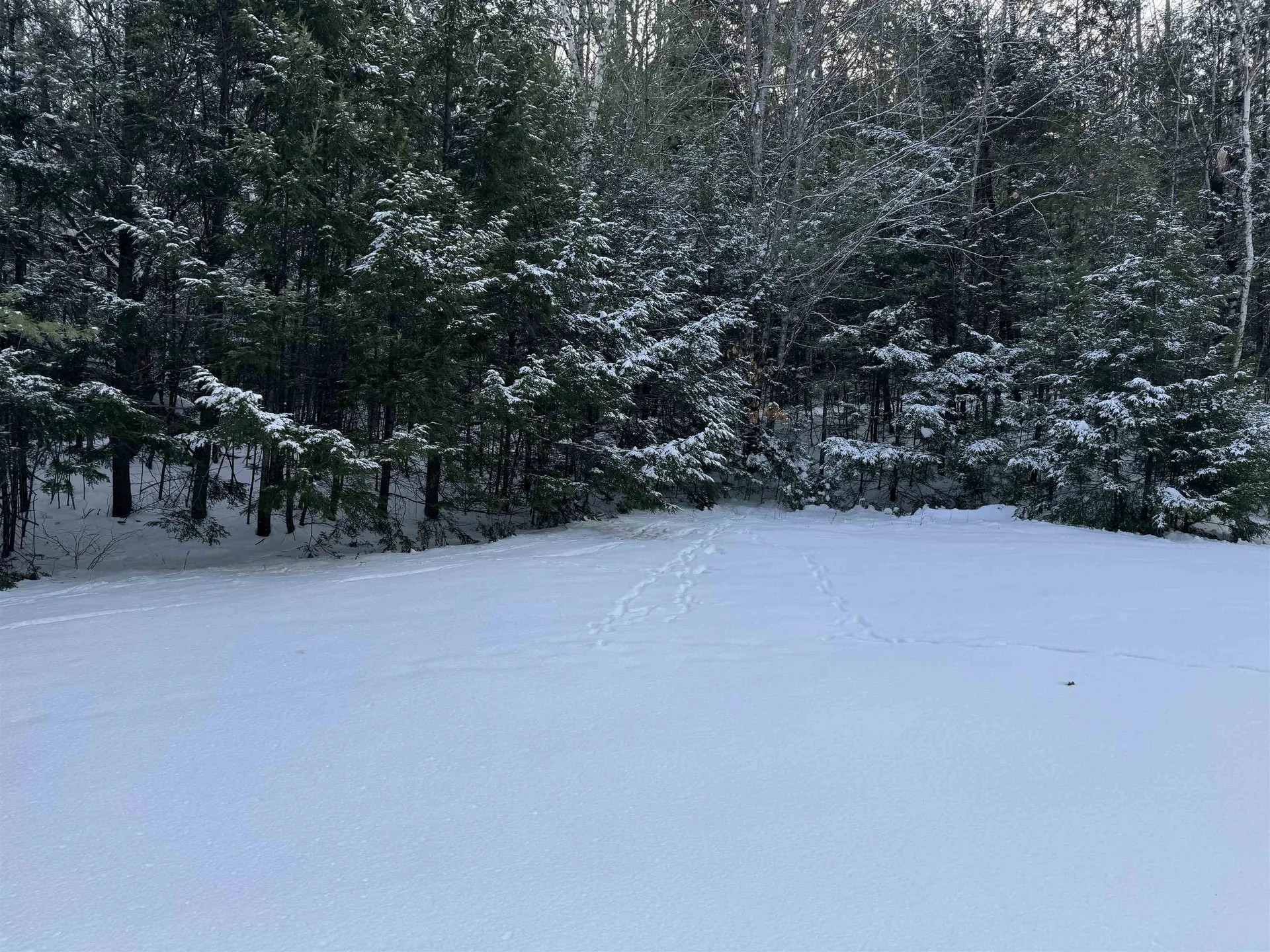 Lot 1 Welch View Drive Thornton NH 03285