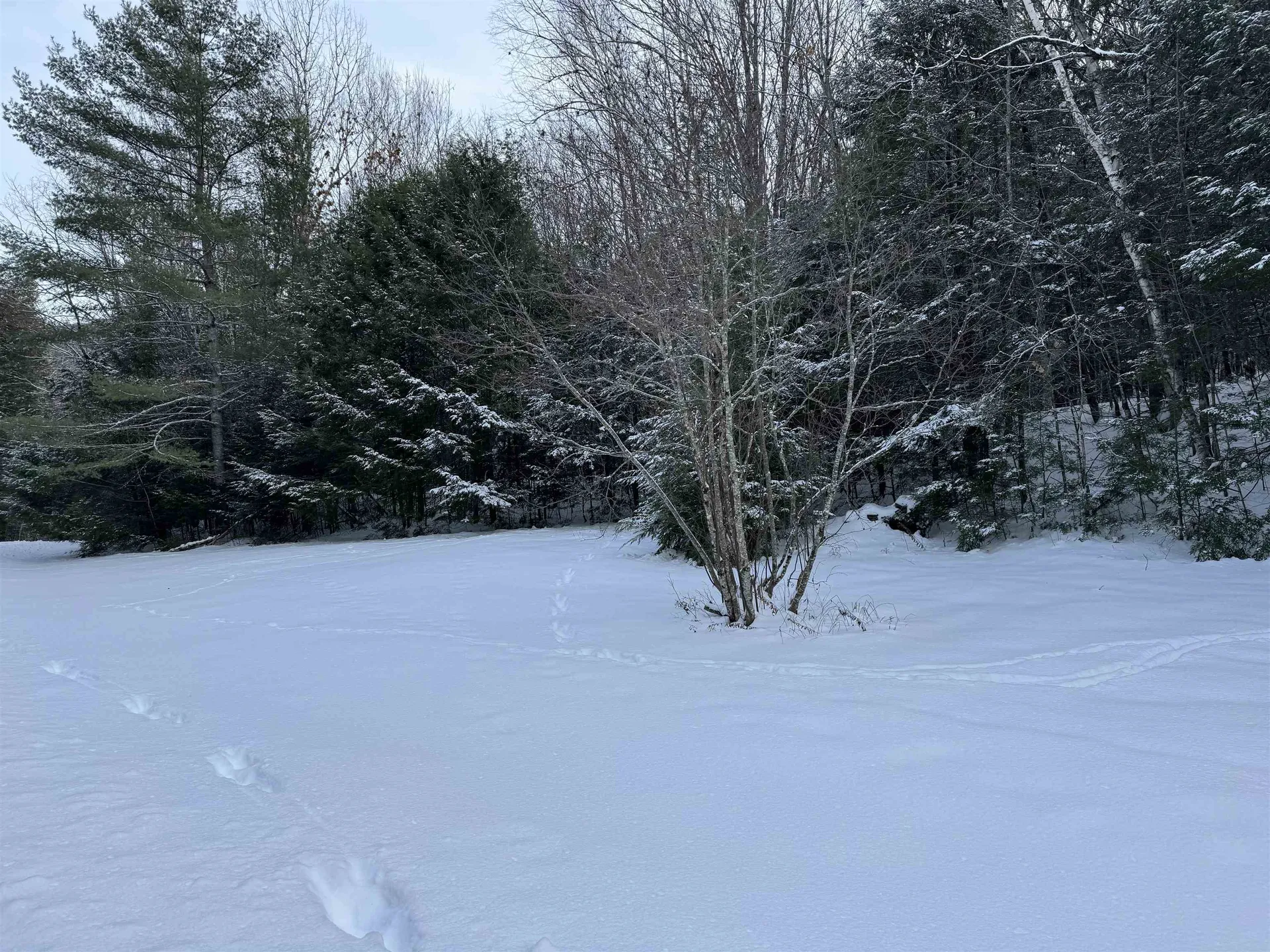 Lot 1 Welch View Drive Thornton NH 03285