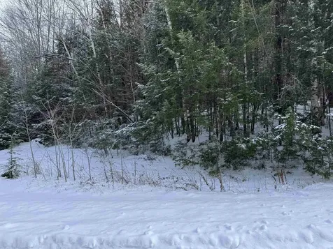 Lot 1 Welch View Drive Thornton NH 03285