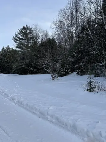 Lot 1 Welch View Drive Thornton NH 03285