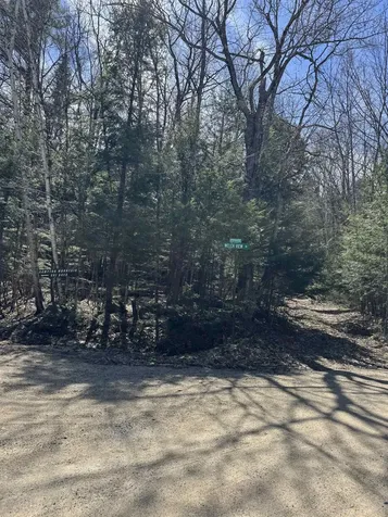 Lot 1 Welch View Drive Thornton NH 03285