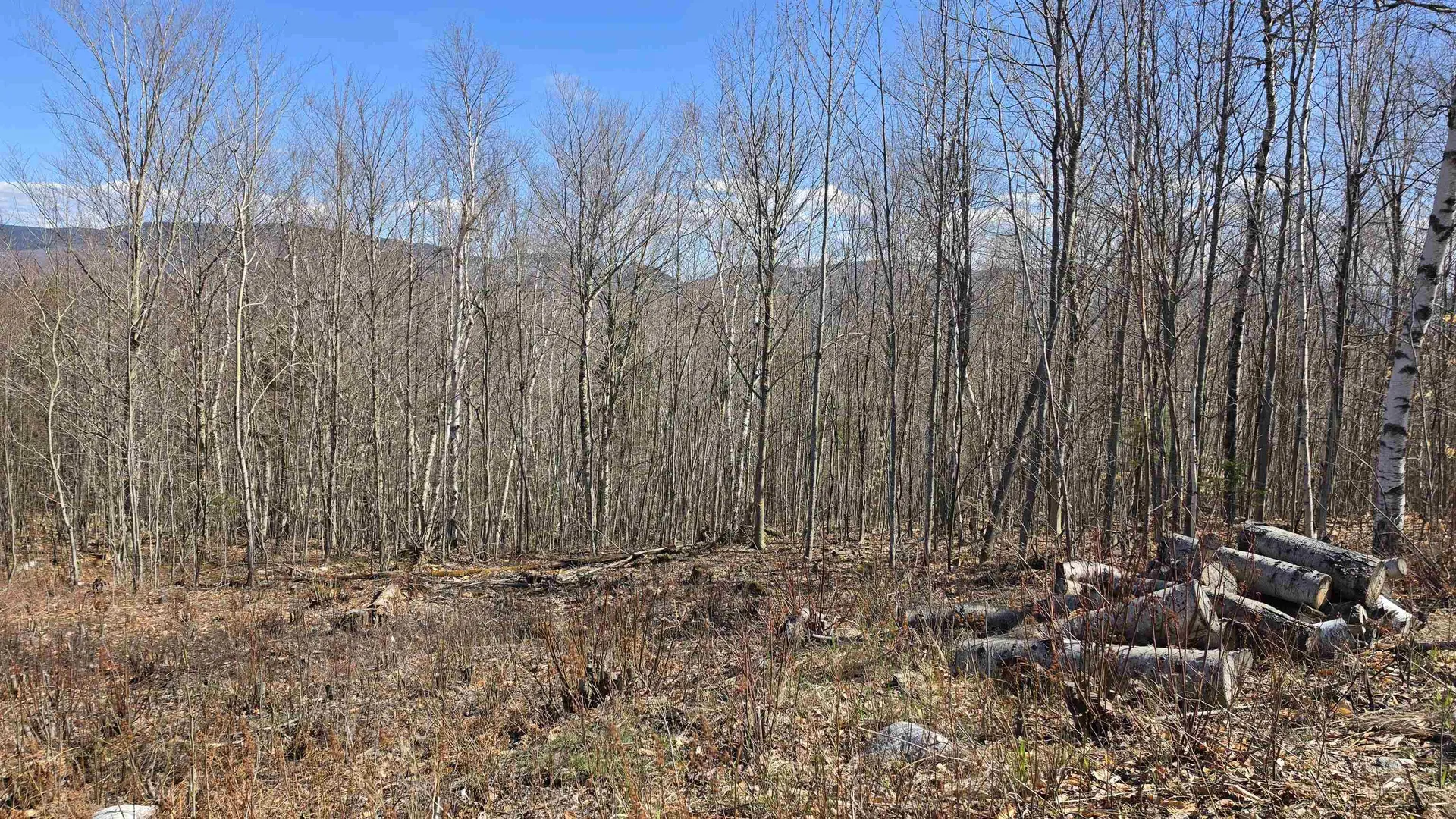 Cates Hill Road Berlin NH 03570