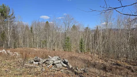 Cates Hill Road Berlin NH 03570
