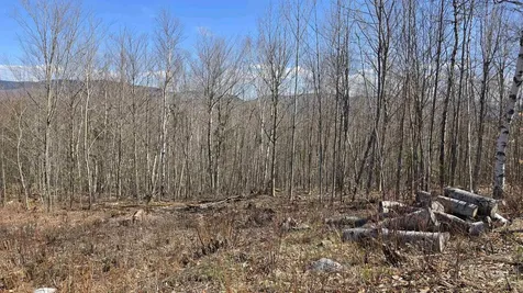 Cates Hill Road Berlin NH 03570