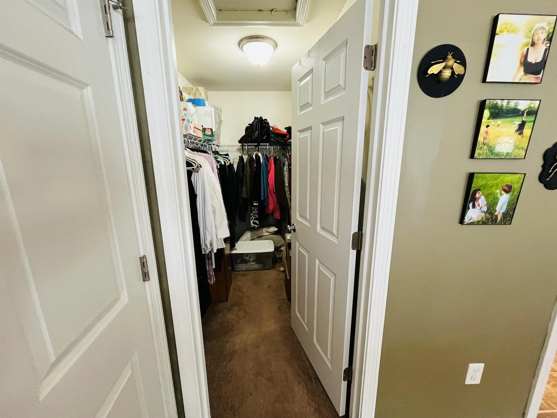 339 Ranney Road Stockbridge VT 05772