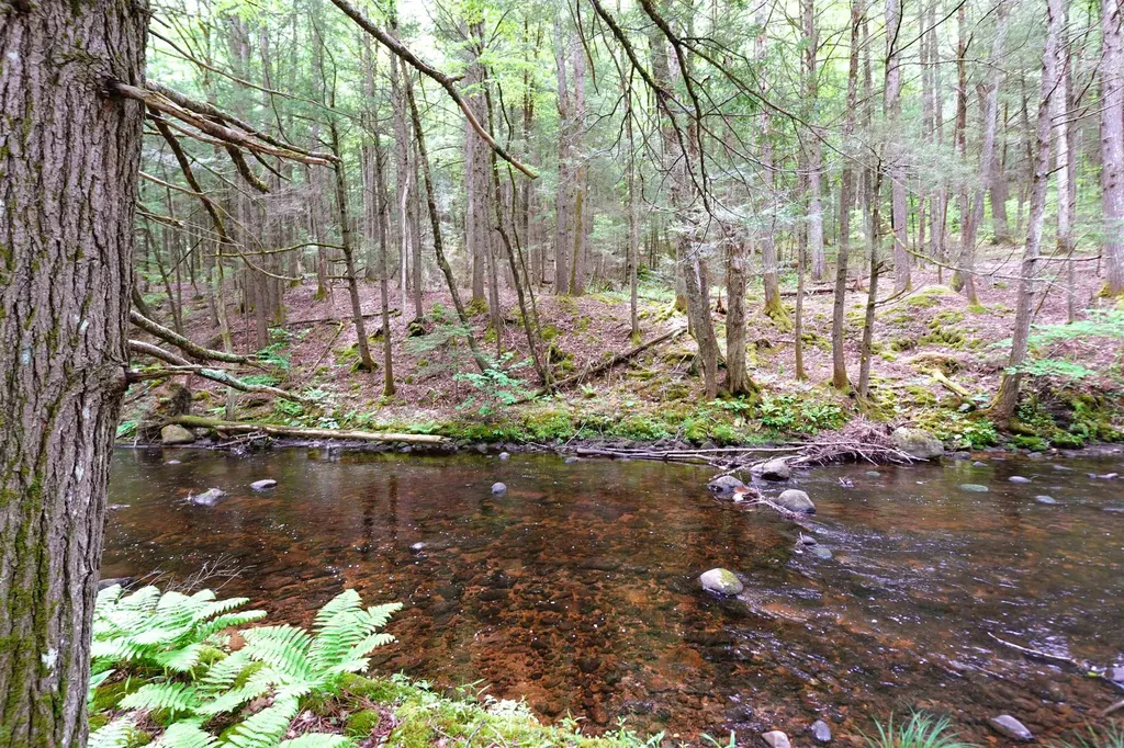 525 Richmond Road Winchester NH 03470