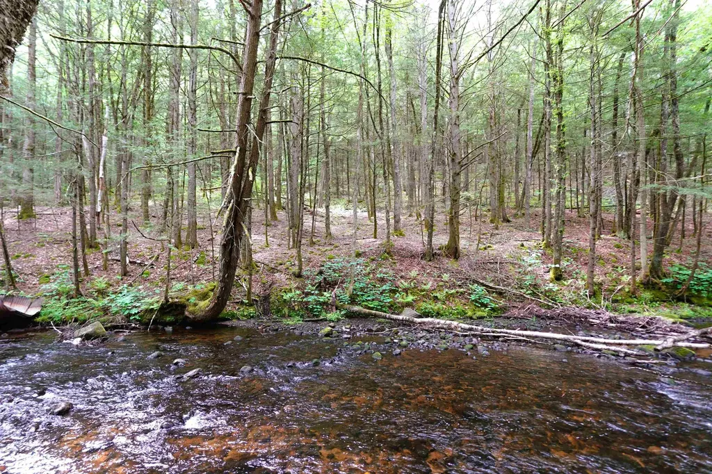 525 Richmond Road Winchester NH 03470