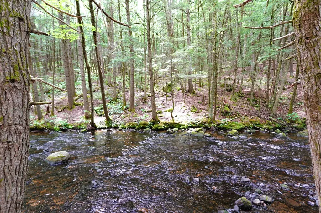 525 Richmond Road Winchester NH 03470