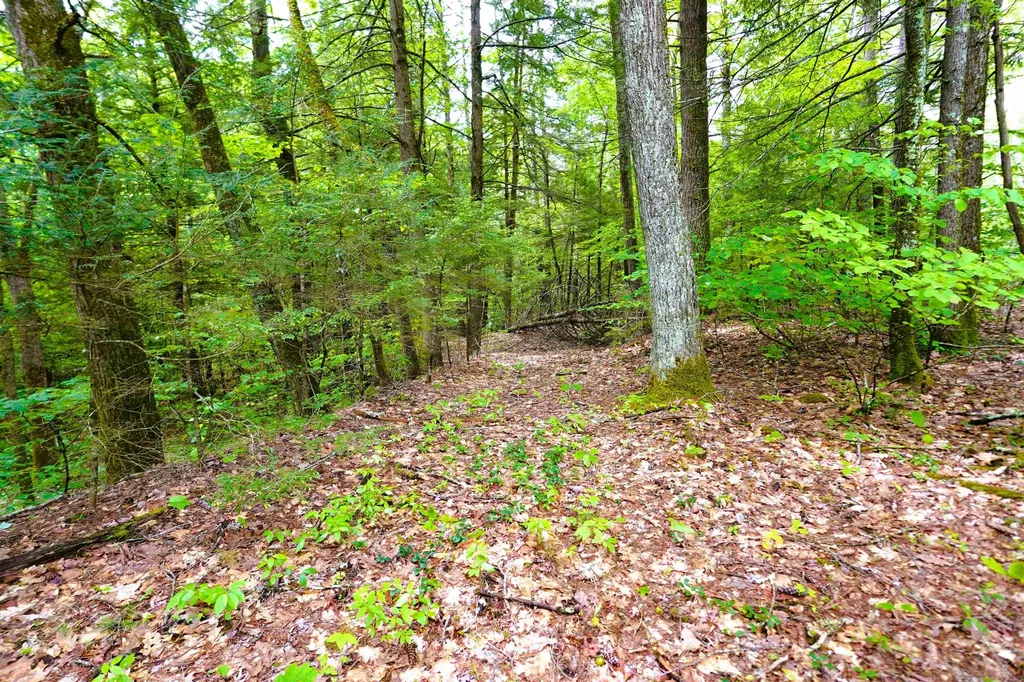 525 Richmond Road Winchester NH 03470