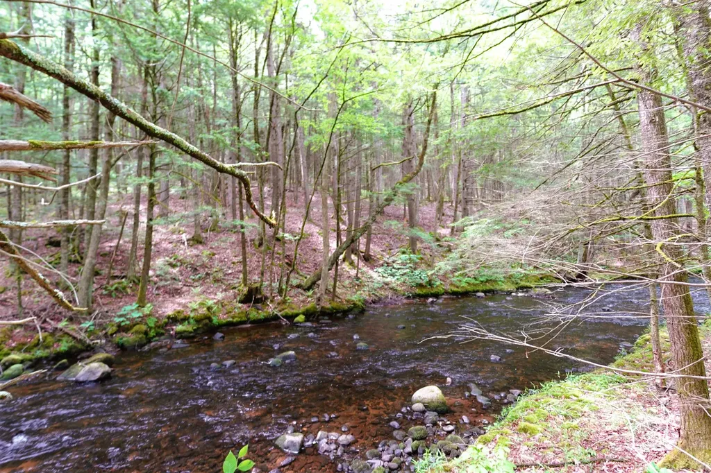 525 Richmond Road Winchester NH 03470