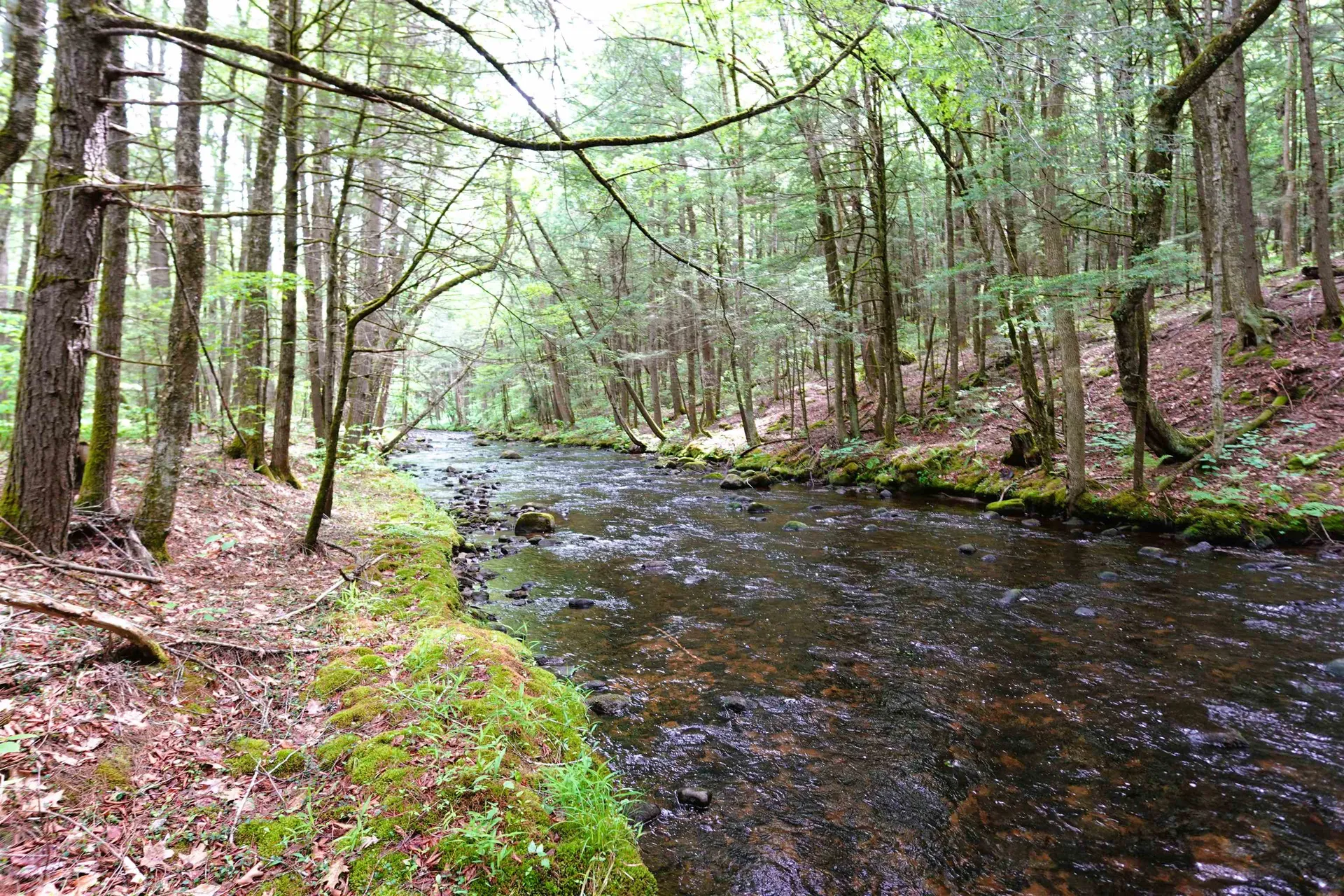 525 Richmond Road Winchester NH 03470