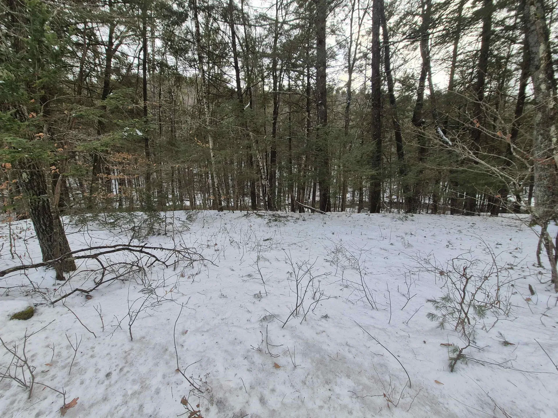 525 Richmond Road Winchester NH 03470