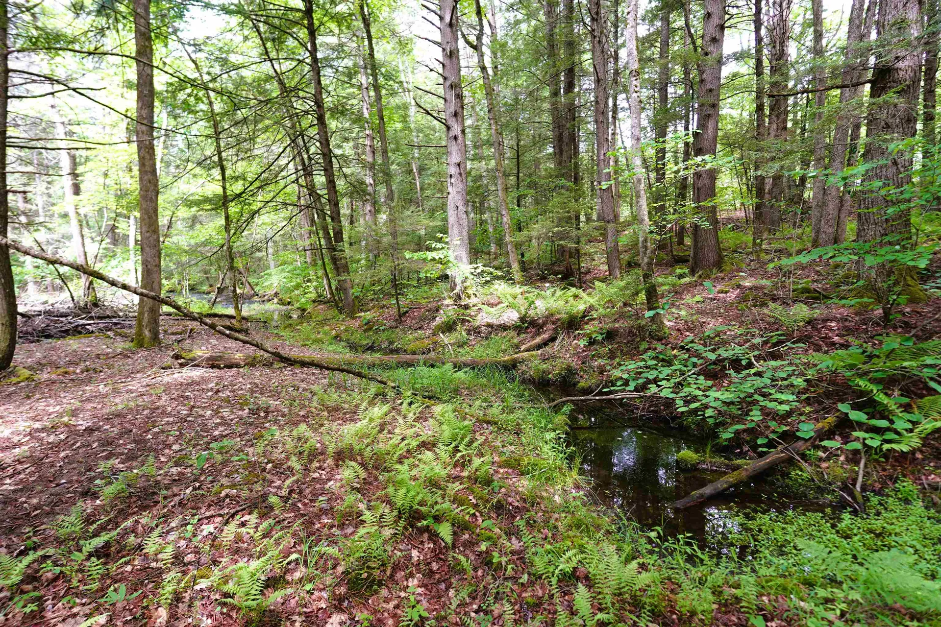 525 Richmond Road Winchester NH 03470