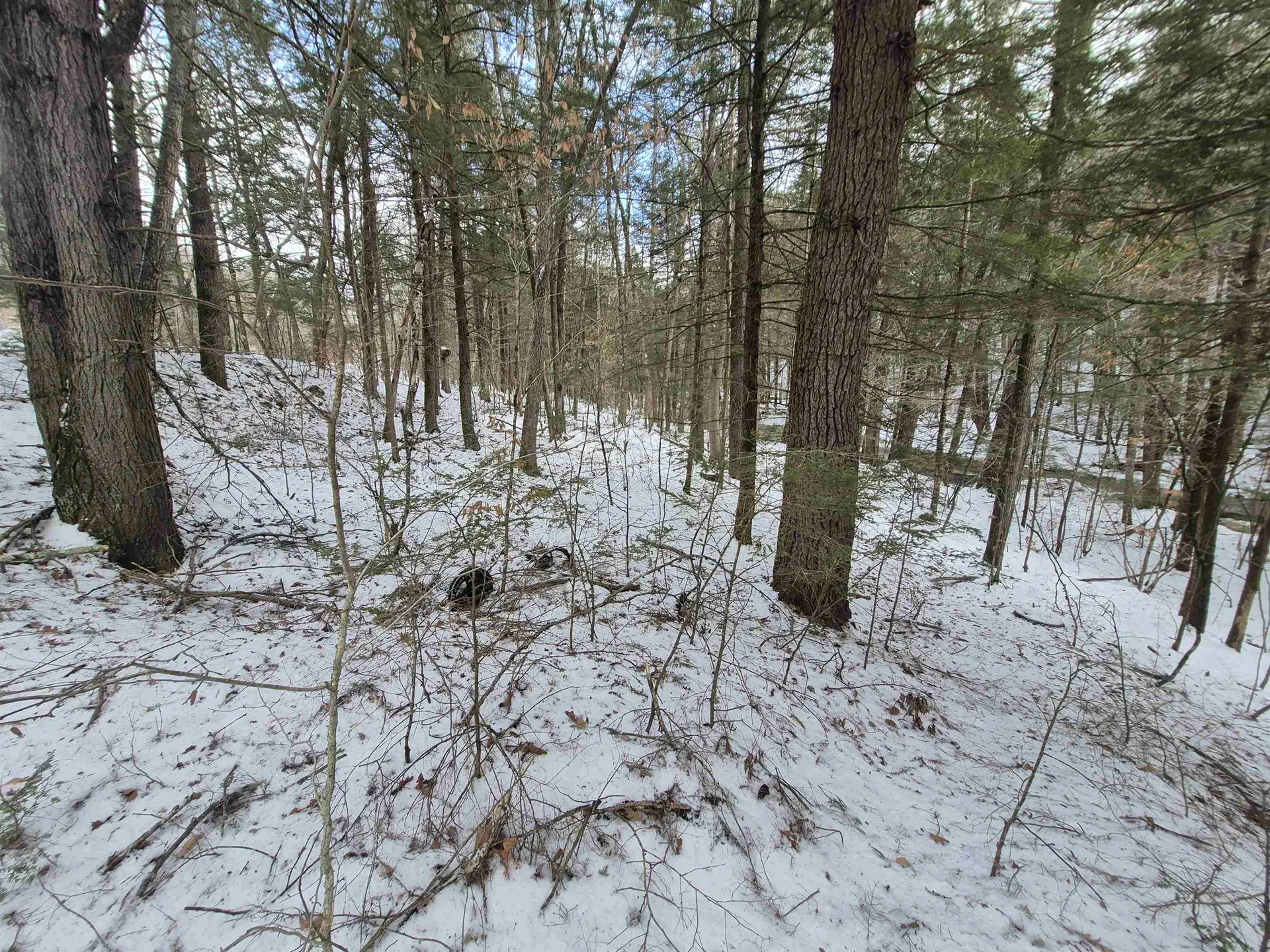 525 Richmond Road Winchester NH 03470