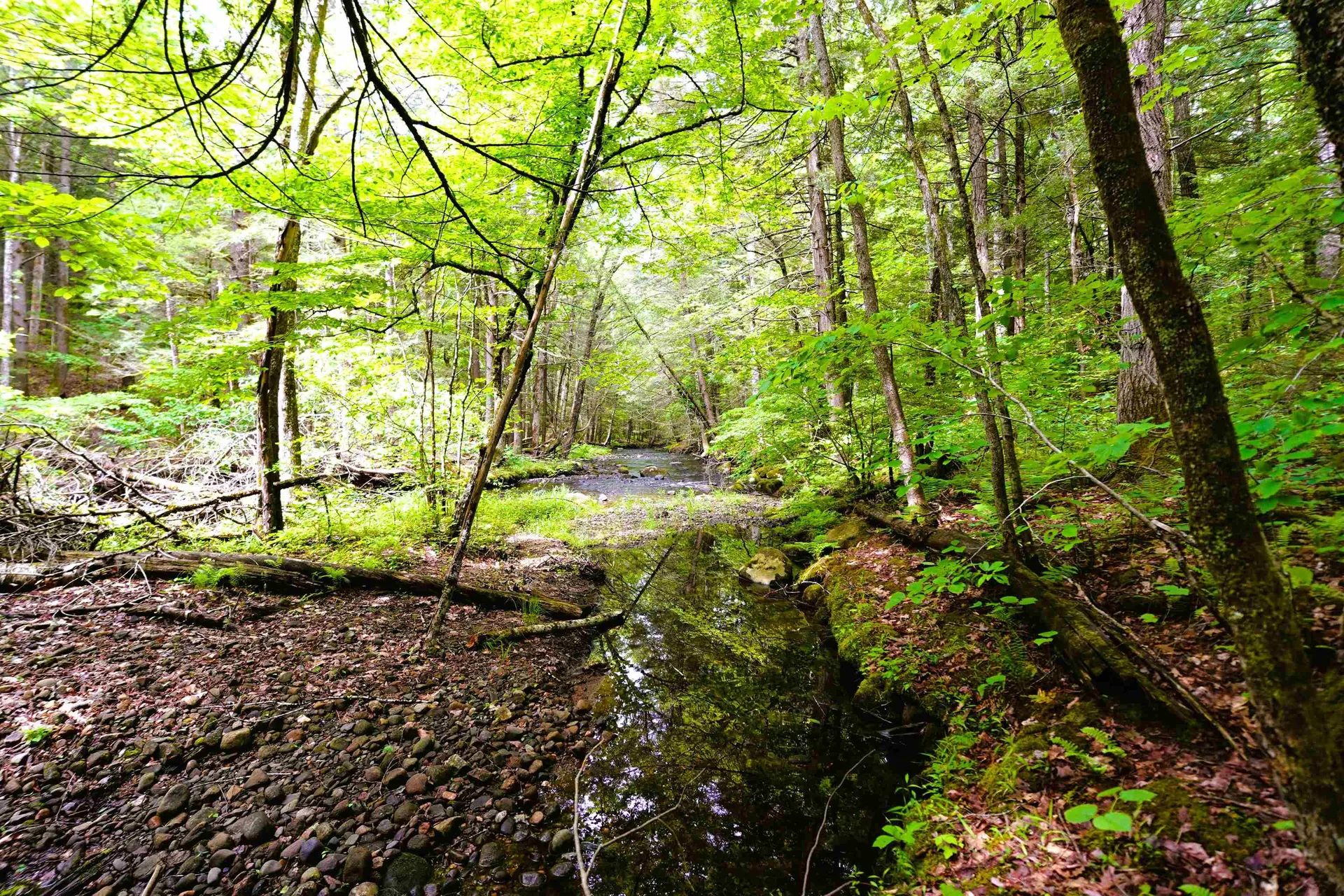 525 Richmond Road Winchester NH 03470