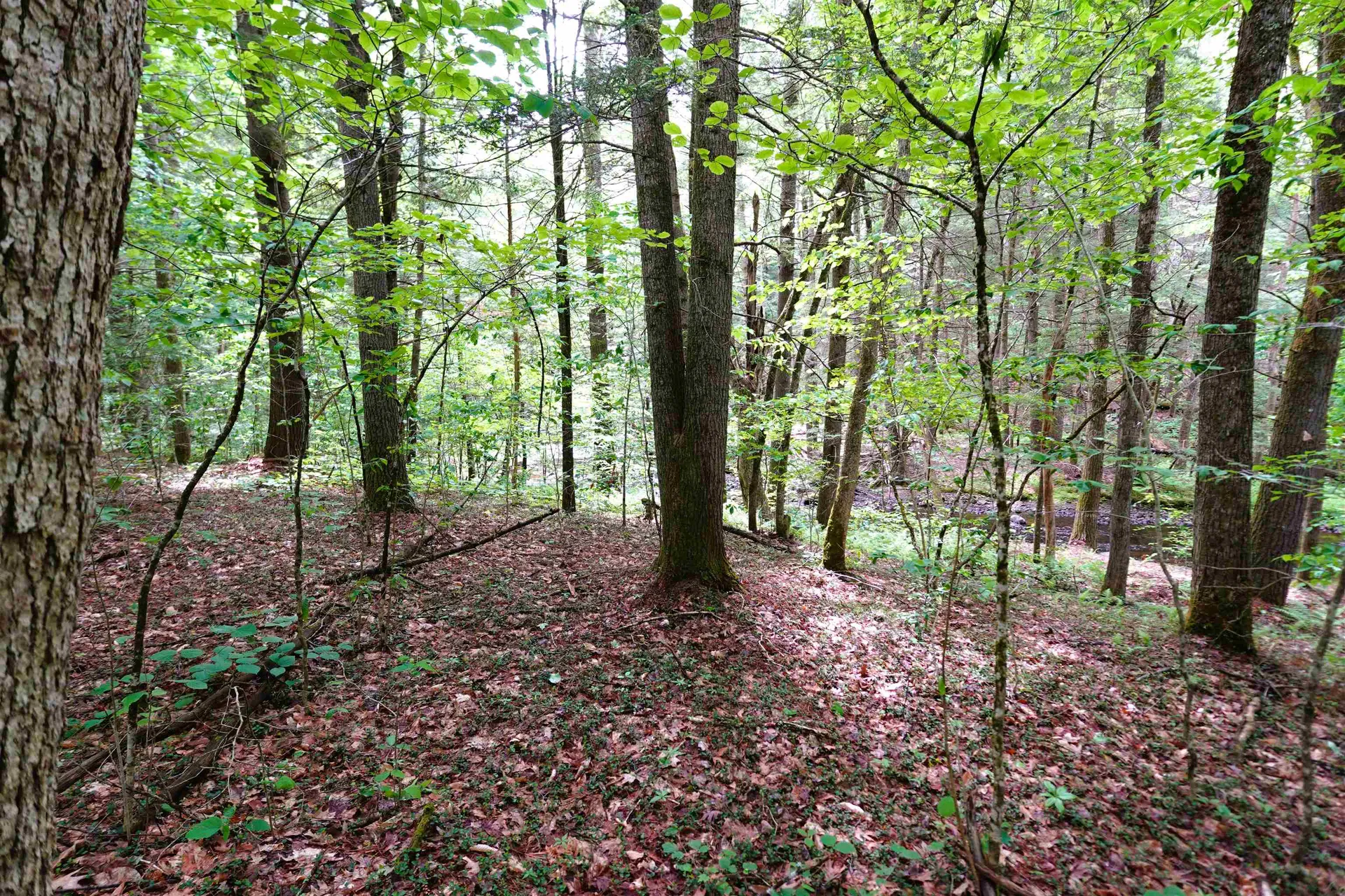 525 Richmond Road Winchester NH 03470