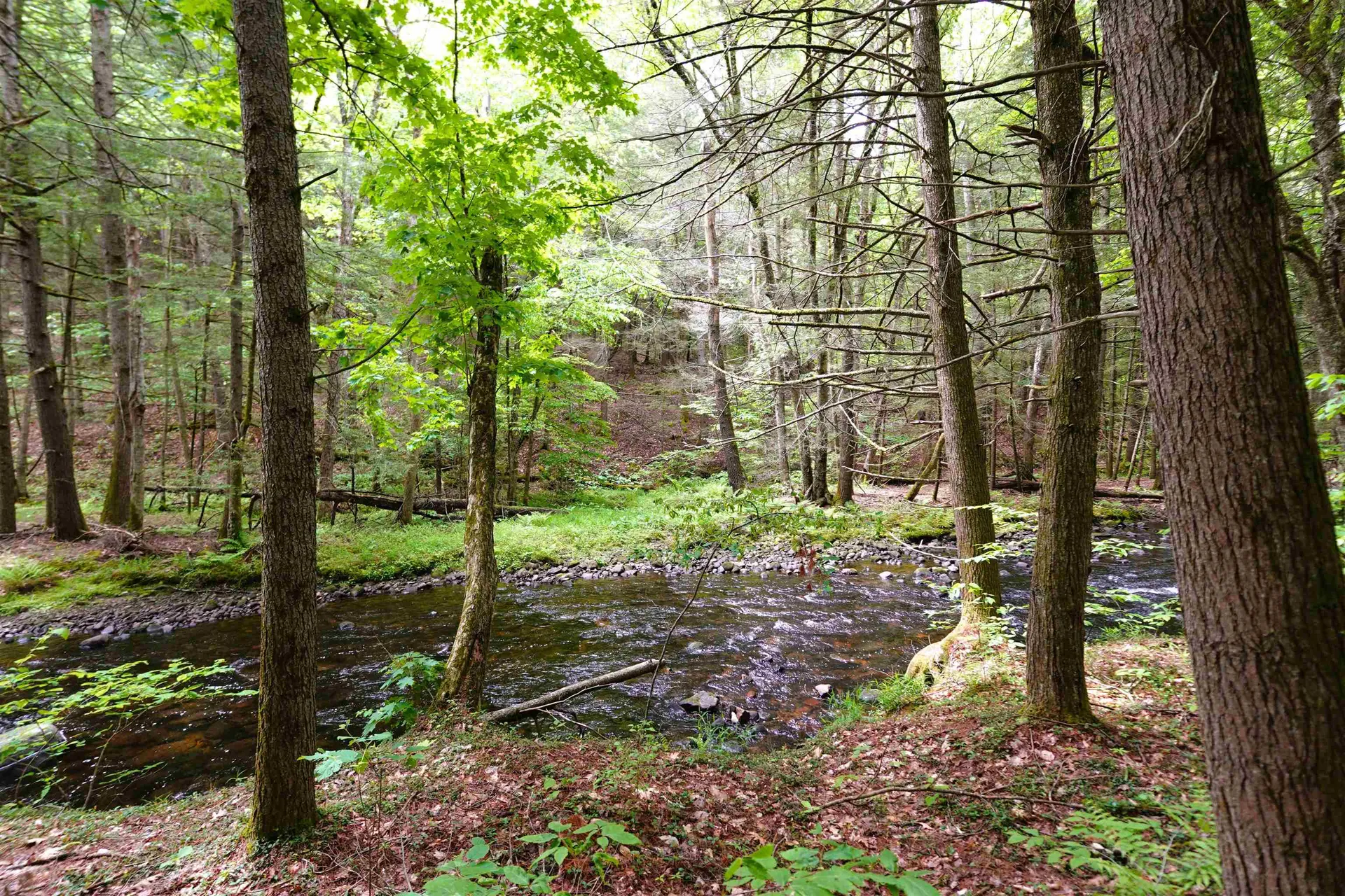 525 Richmond Road Winchester NH 03470
