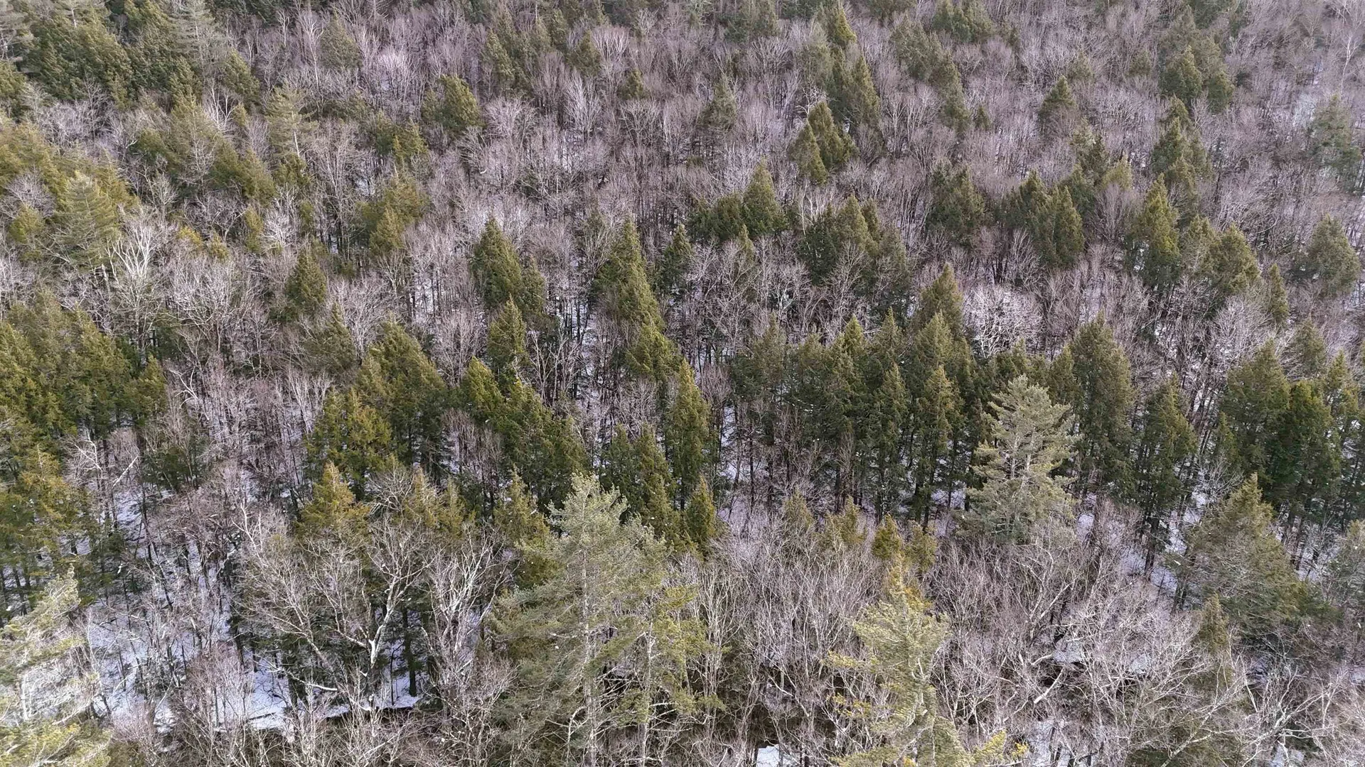 525 Richmond Road Winchester NH 03470