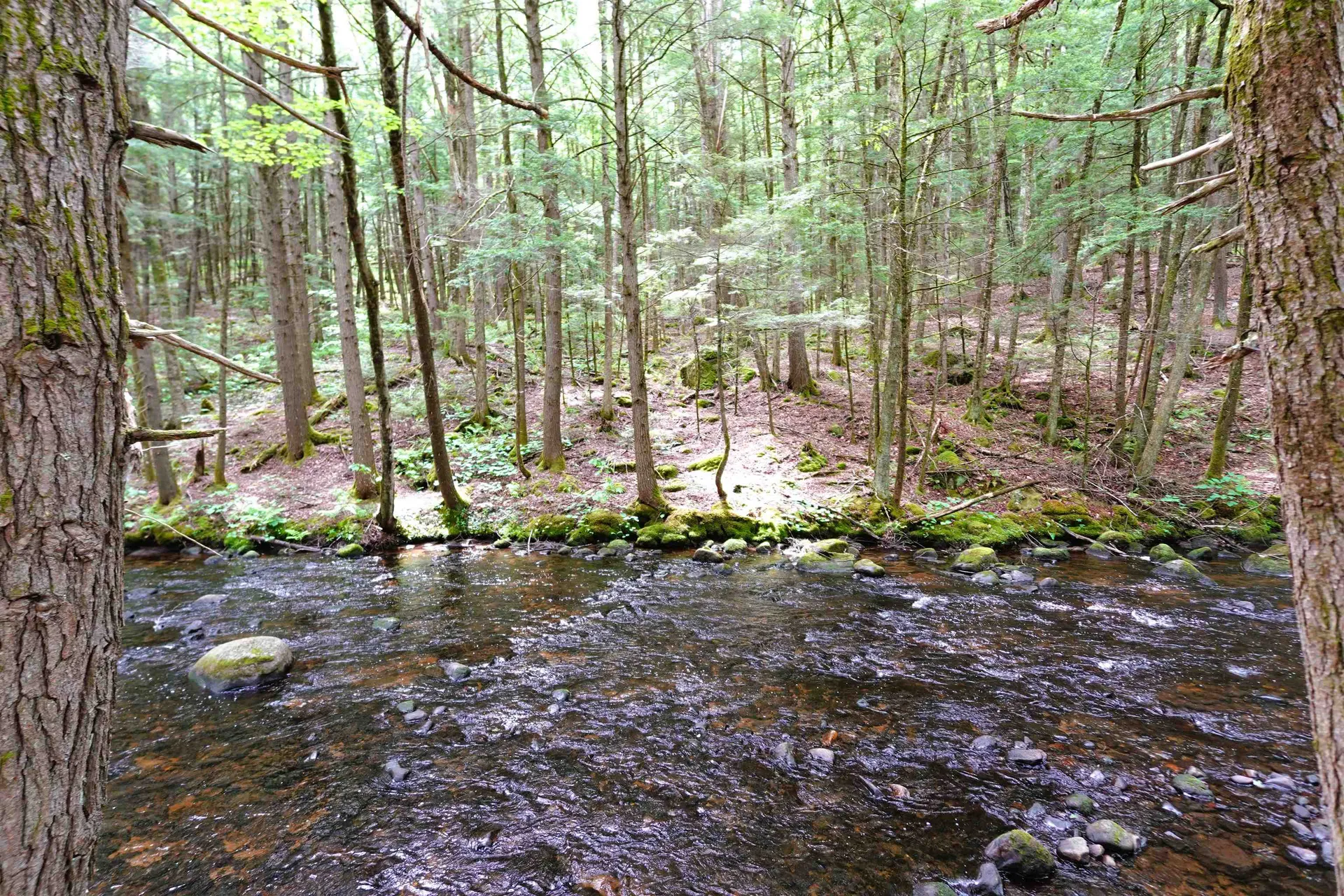 525 Richmond Road Winchester NH 03470