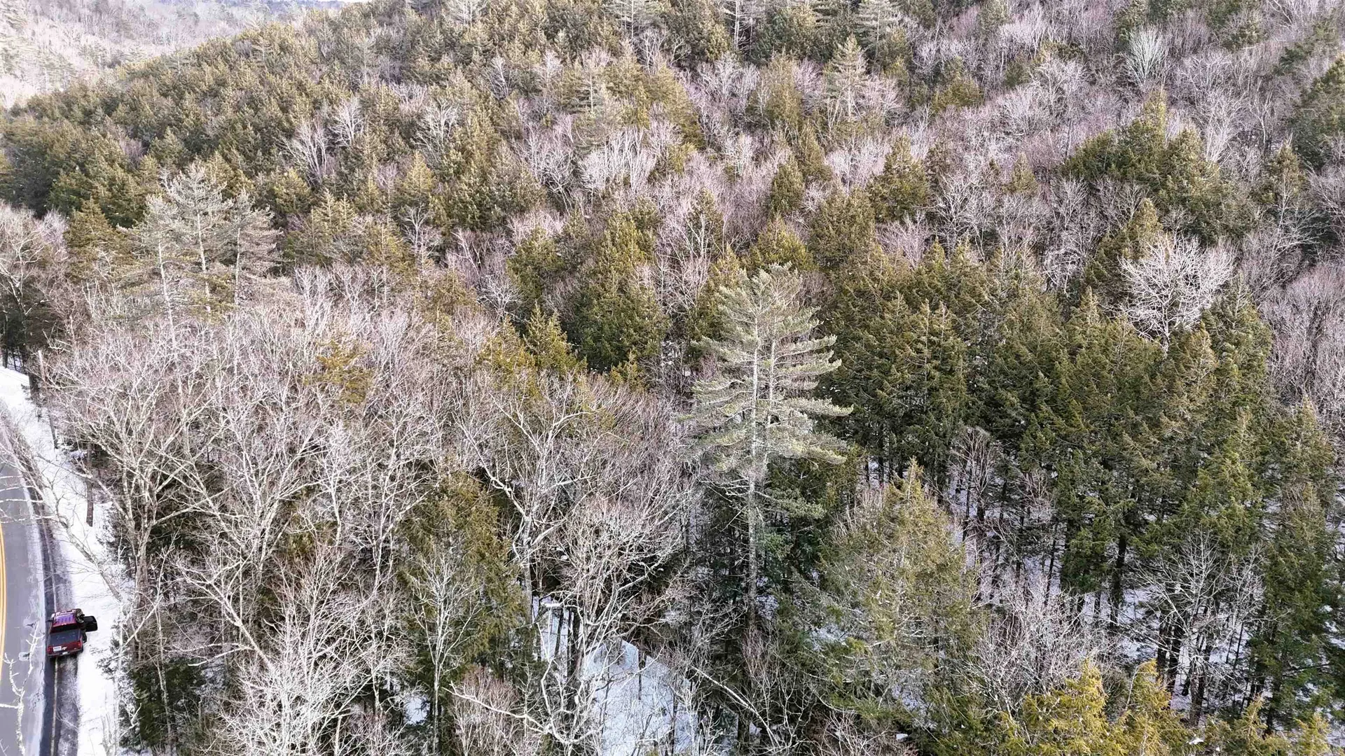 525 Richmond Road Winchester NH 03470