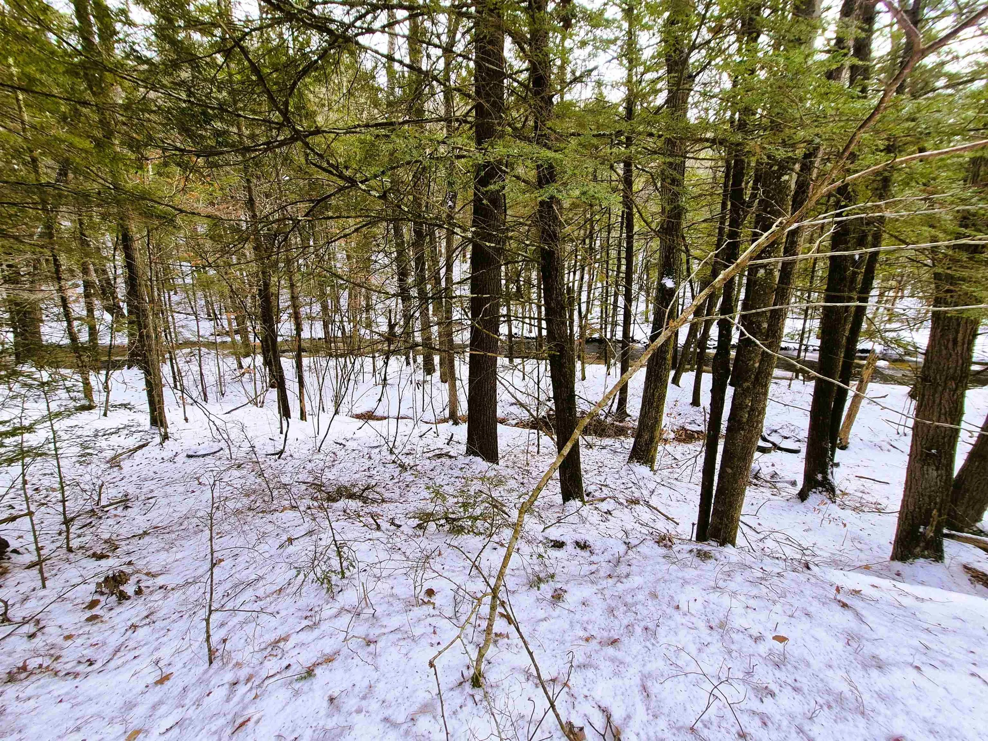 525 Richmond Road Winchester NH 03470