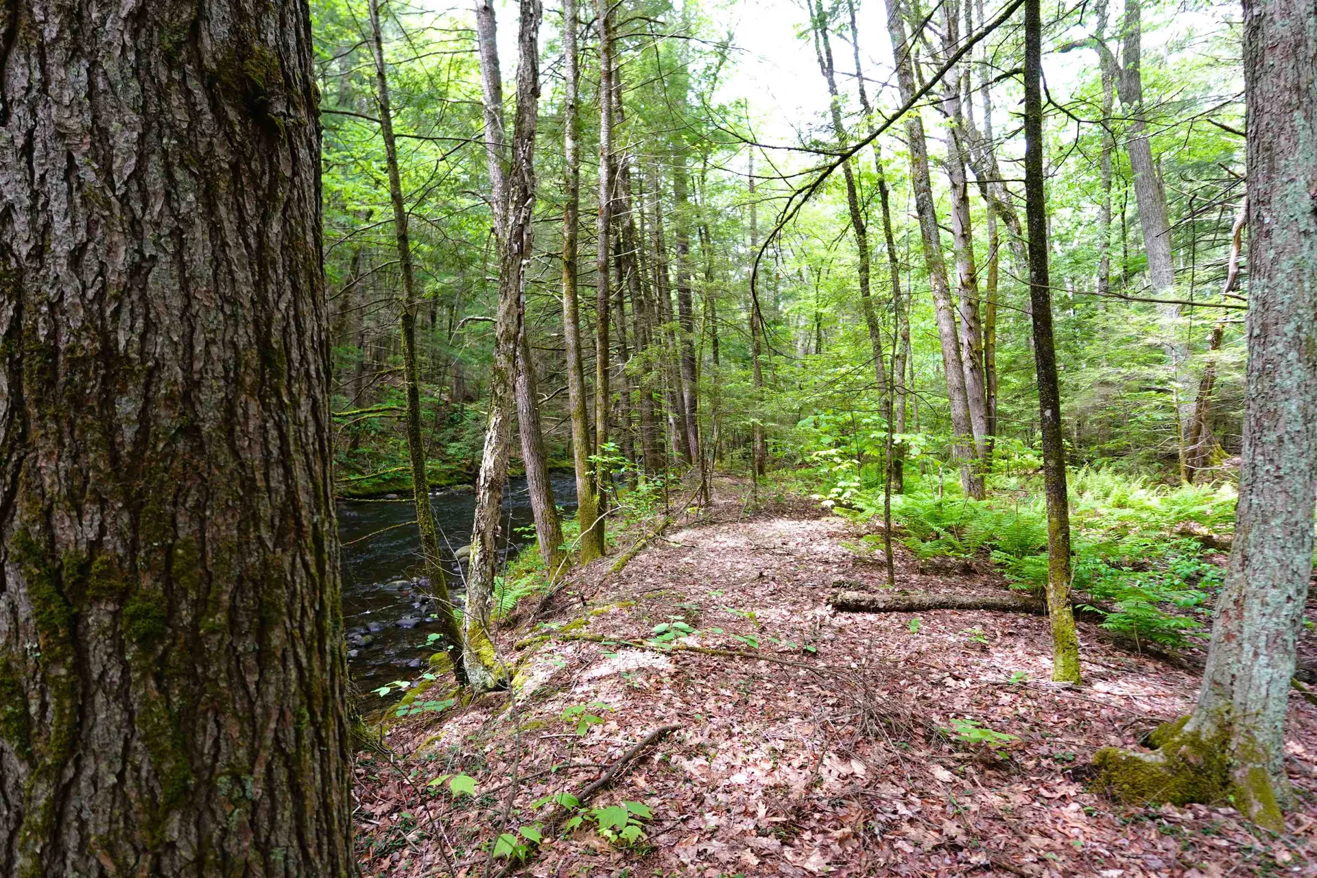 525 Richmond Road Winchester NH 03470