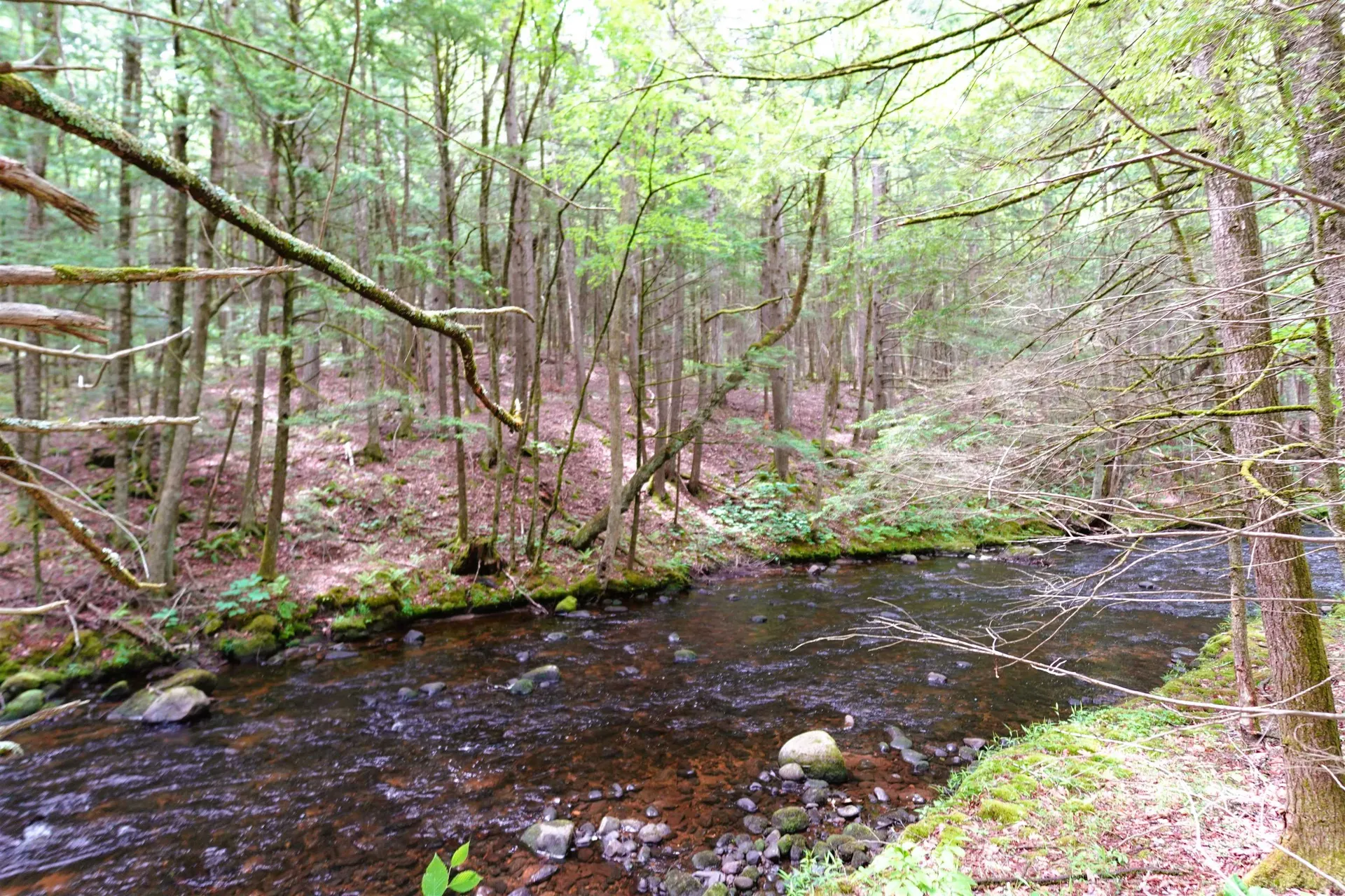 525 Richmond Road Winchester NH 03470