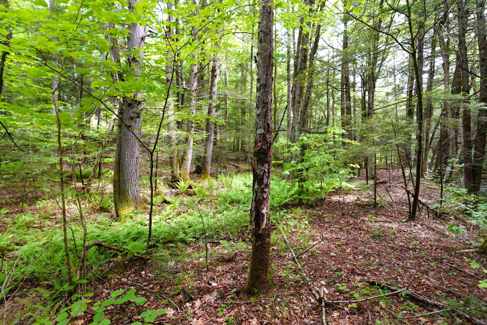 525 Richmond Road Winchester NH 03470