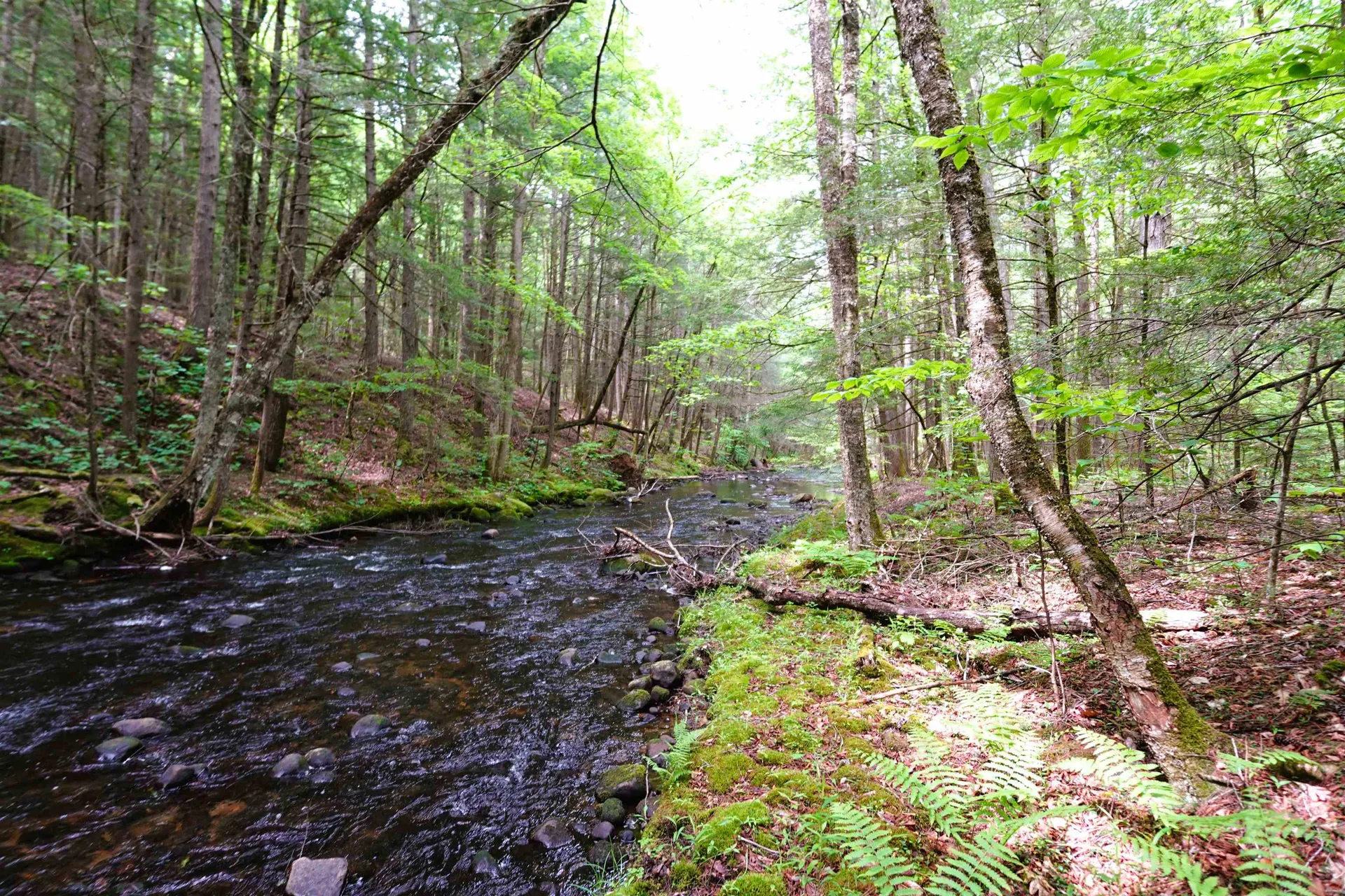 525 Richmond Road Winchester NH 03470